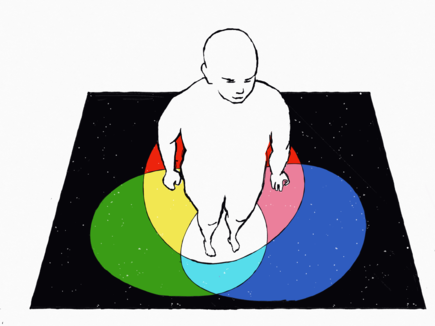 The law of the reciprocal effect (Sotai holistic ideas)