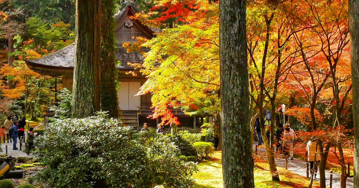 Sanzen-in temple in Ohara Kyoto. Autumn leaves Kyoto Japan guide Nov ...
